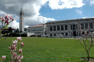 Picture of Campanile and library on Berkeley's campus.